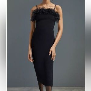 Black Feather Trim Anthropologie Elliat Dress